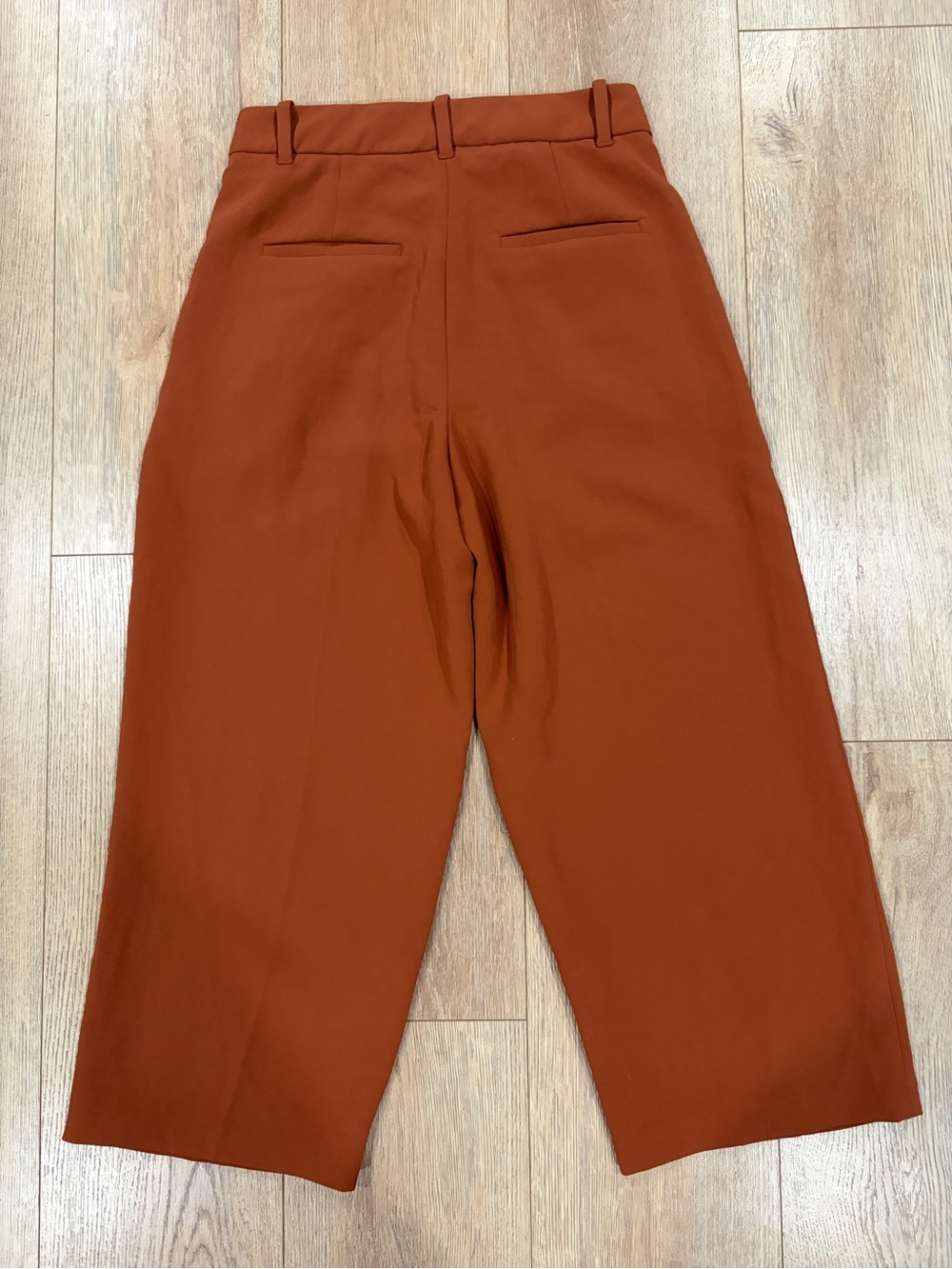 Wilfred The Effortless Pant Burnt Orange Rust High Rise Pleated Trousers Size 6 - Picture 4 of 6
